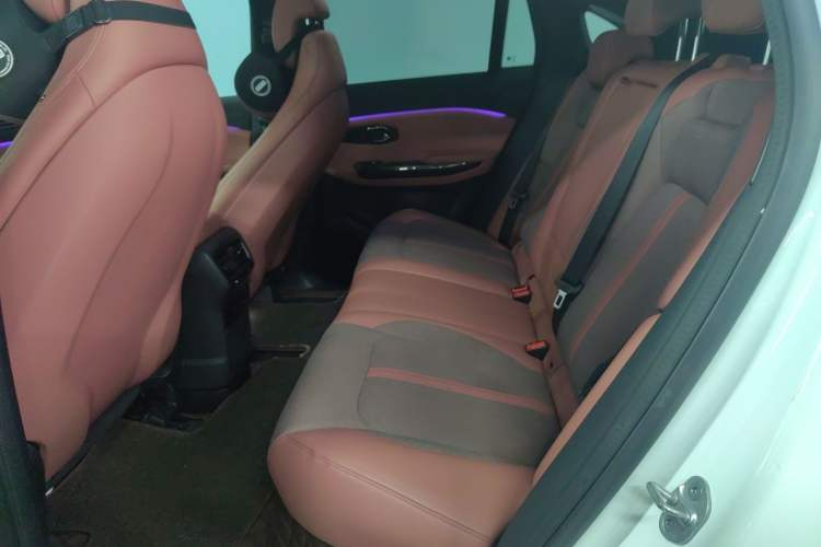 Used Nio EC6 2020 440 km Performance Version Left Rear Seat