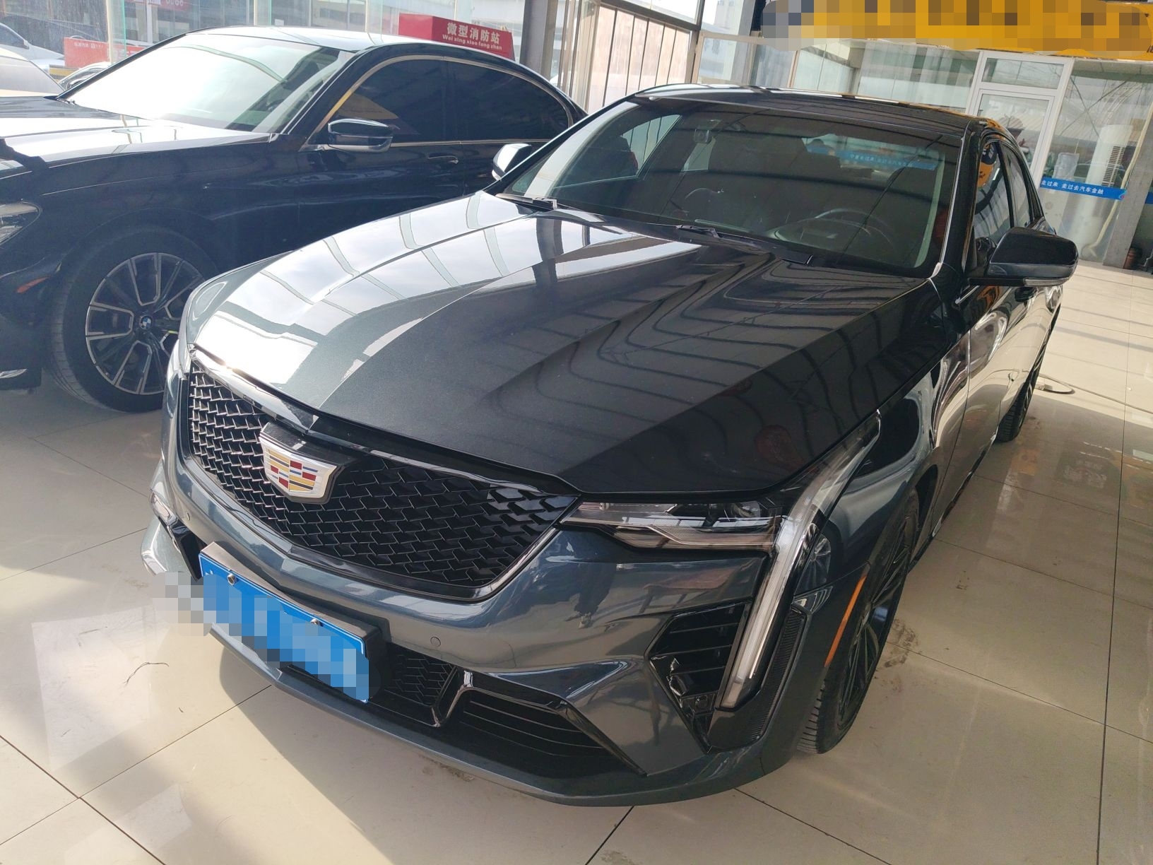 تحت مقدمة السيارة