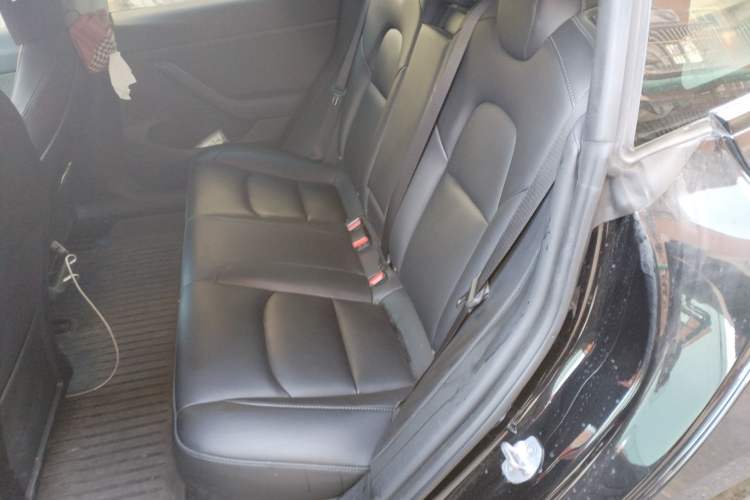 Used Tesla Model 3 2022 Rear-Wheel-Drive Version