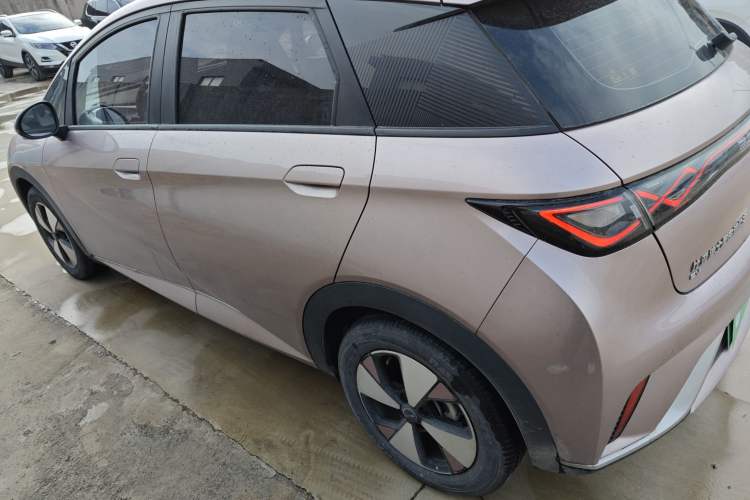 Used BYD Dolphin 2023 420 km Free Version
