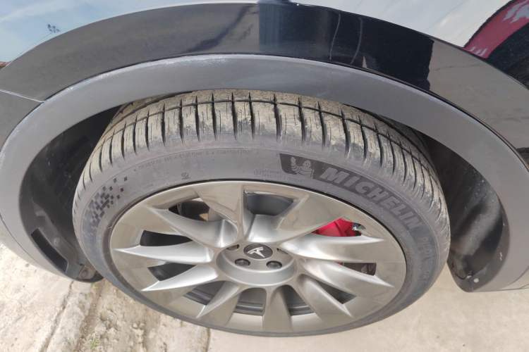 Used Tesla Model Y 2021 Standard Range Rear-Wheel Drive Version Exterior 4