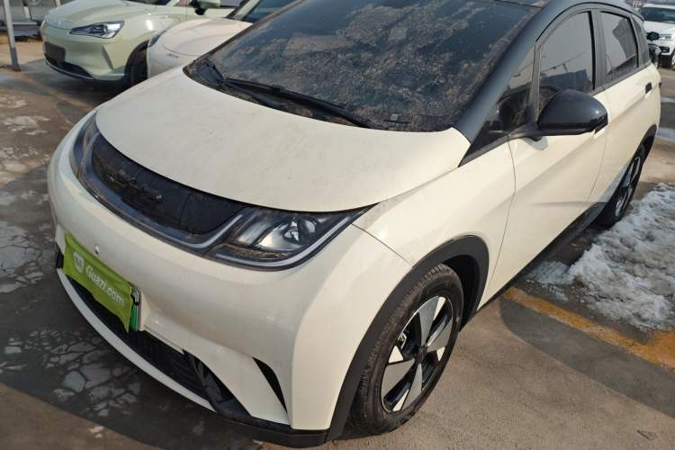 Used BYD Dolphin 2023 420 km Fashion Edition