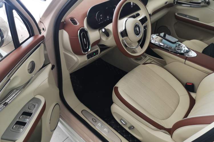 Used ORA Ballet Cat 2023 401 km Luxury Version Driver Seat