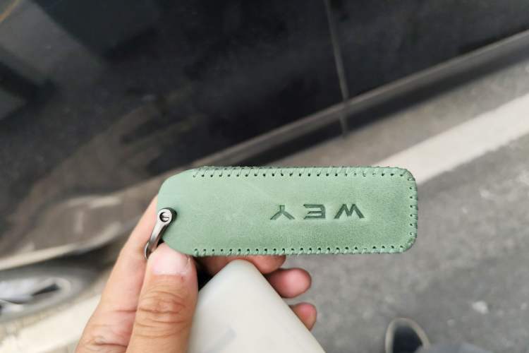 Used Wey VV5 2020 1.5T Two-Wheel Drive Smart Pioneer