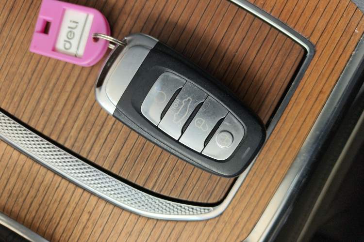 Used Hongqi E-HS9 2021 460 km Range Flagship Edition Six-Seater