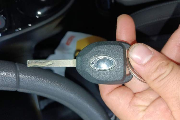 Used ORA Black Cat 2019 351 km Family Edition
