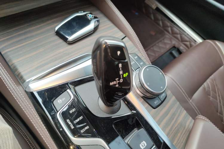 Used BMW 5 Series New Energy 2019 530Le Luxury Package