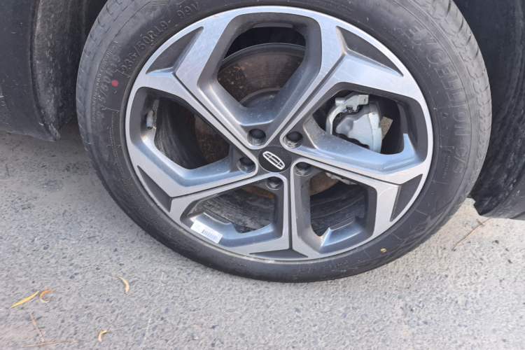 Used Geely Auto Monjaro L 2024 2.0TD DCT EVO Two-Wheel Drive Long-Range Version