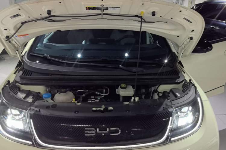 Used BYD Dolphin 2024 Honor Edition 420km Fashion Version