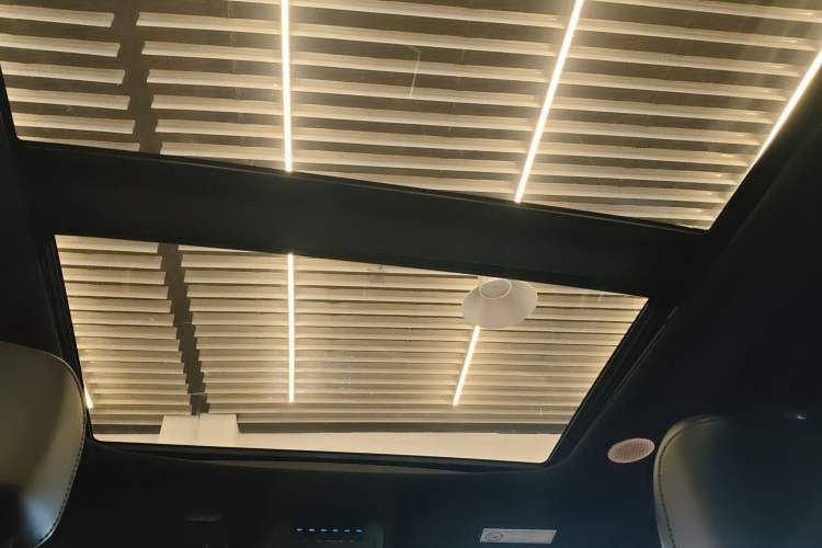 Used Ford F-150 Raptor 2023 3.5T Raptor Headliner