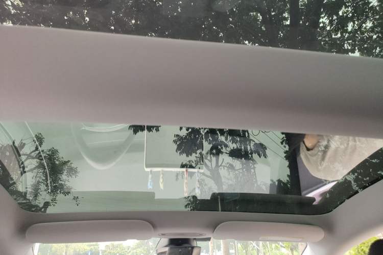 Used Tesla Model 3 2023 Rear-Wheel-Drive Version Headliner