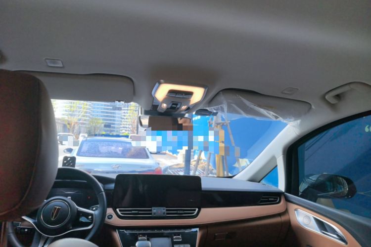 Used Hongqi HQ9 2023 2.0T Smart Connect Flagship Edition Headliner