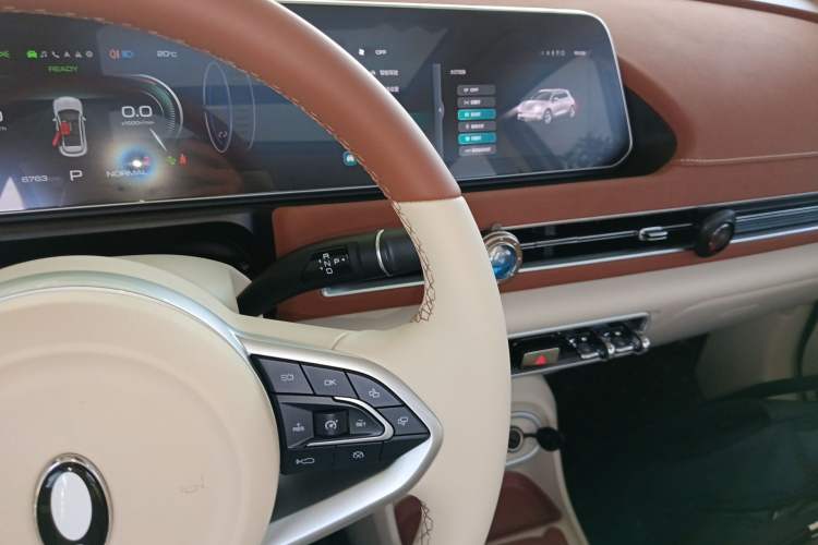 Used ORA Good Cat 2024 401 km Luxury Version