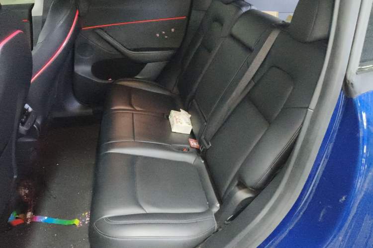 Used Tesla Model Y 2022 Rear-Wheel-Drive Version Left Rear Seat