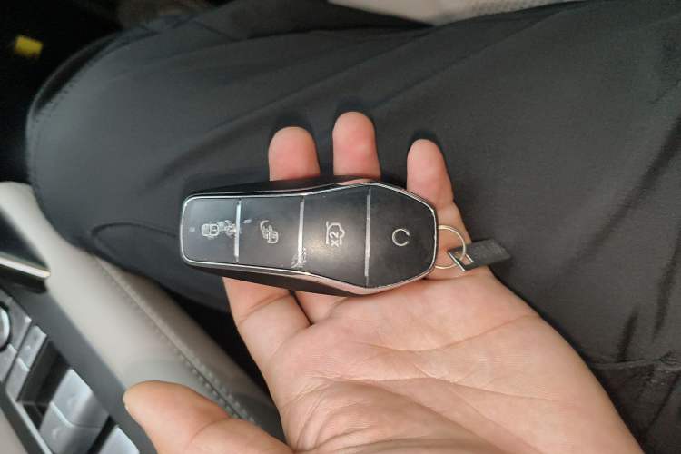 Used BYD Tang New Energy 2025 DM-i 115KM Prestige Model