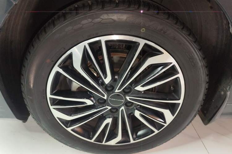 Used FORTHING Yacht 2022 1.5T DCT Chasing-the-Waves Edition