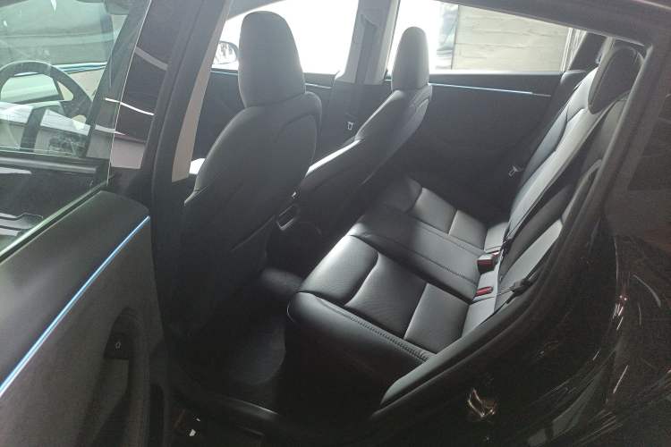 Used Tesla Model 3 2023 Long-Range All-Wheel-Drive Version Left Rear Seat