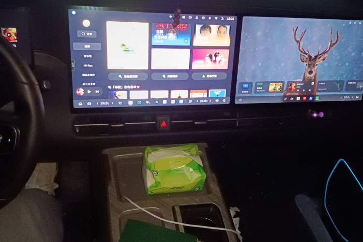 Used Wey Gaoshan 2025 Four-Wheel Drive Alpine 8
