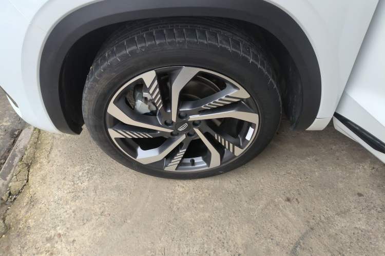 Used Geely Auto Monjaro L 2024 2.0TD High-Power Automatic Two-Wheel Drive Skyline Edition
