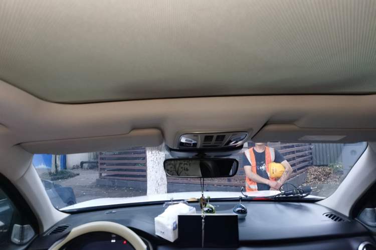 Used Wey VV6 2019 2.0T Two-Wheel-Drive Ultra-Luxury Version China VI Standard Headliner