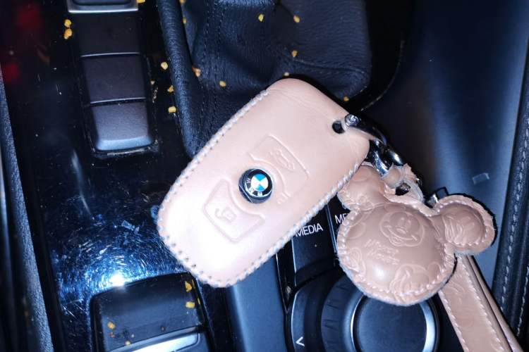 Used BMW X2 2019 sDrive20i M Sport Package China VI Emission Standard Vehicle Key