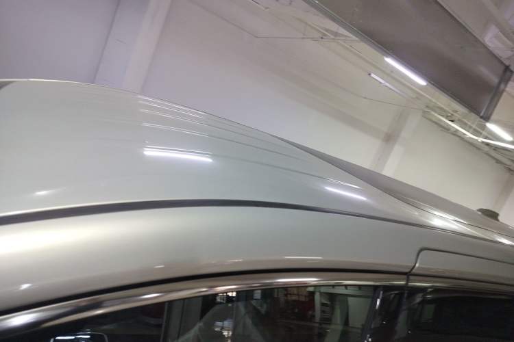 Used Hongqi HQ9 2023 2.0T Smart Connect Flagship Edition