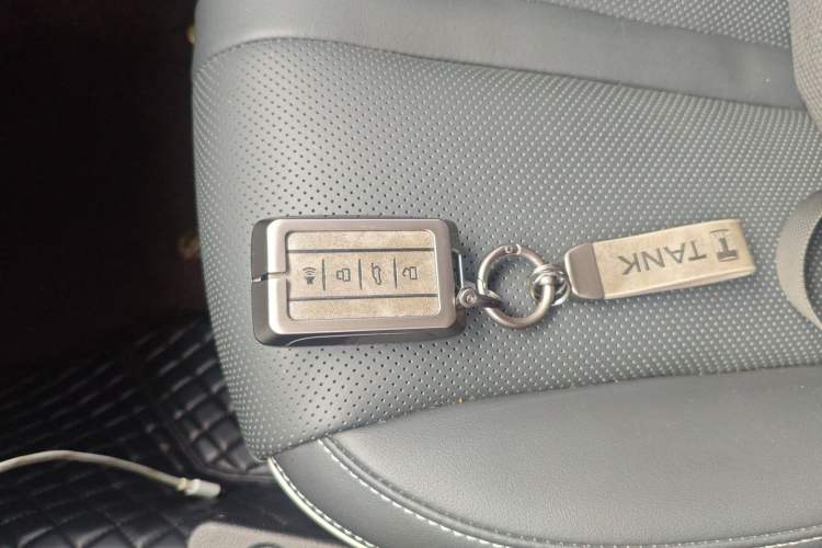 Used Tank 300 2024 2.0T Conqueror