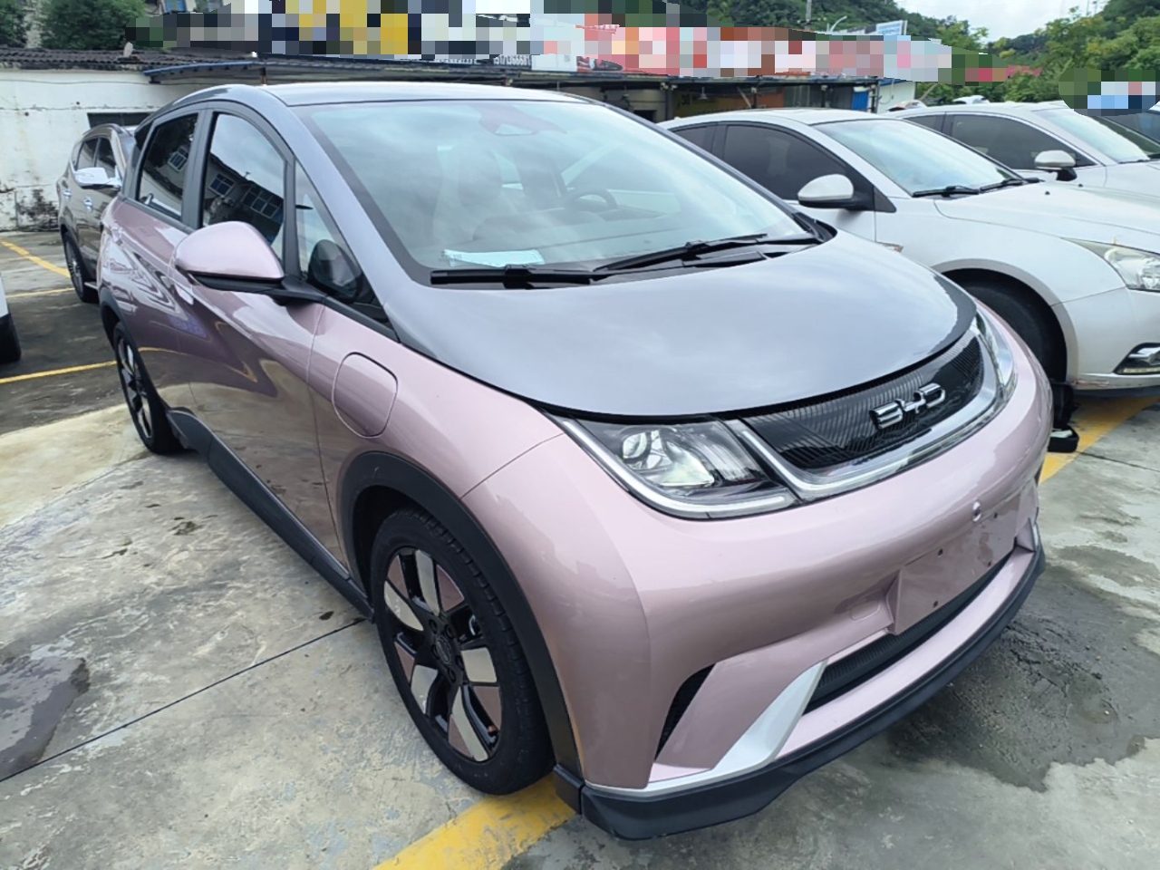 BYD Dolphin 2021 401km Knight Edition — снимка 3