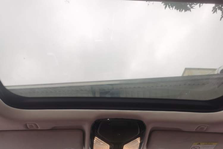 Used BMW 5 Series New Energy 2018 530Le Luxury Package
