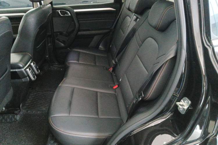 Used Haval DARGO 2021 2.0T DCT 4x4 Chinese Rural Dog Edition Left Rear Seat