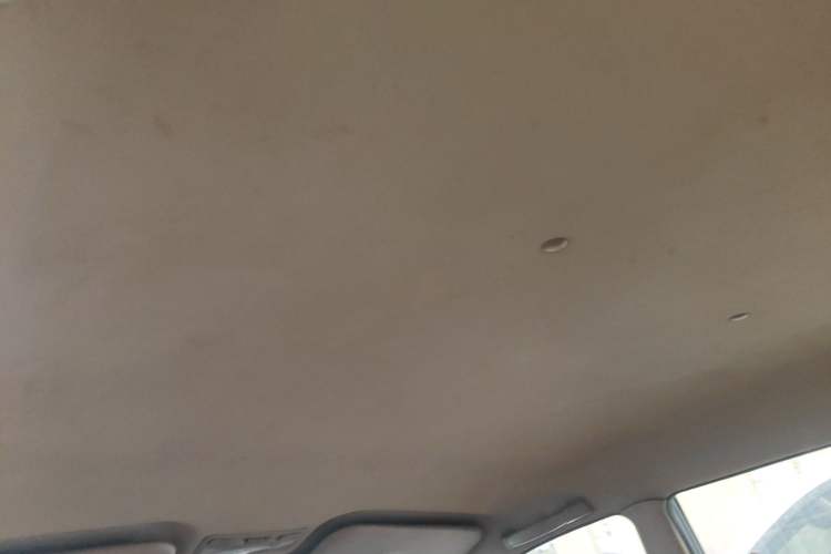 Used Leopaard Feiting 2010 Fashion Edition 1.5L Two-Wheel Drive Comfort Version Headliner