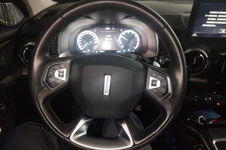 Used Wey VV6 2019 2.0T Two-Wheel-Drive Ultra-Luxury Version China VI Standard Steering Wheel