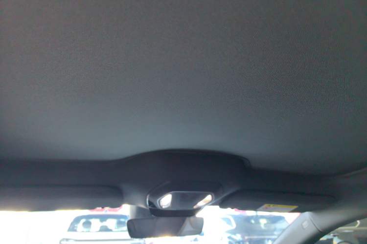 Used Hongqi EH7 2024 820 Pro Headliner