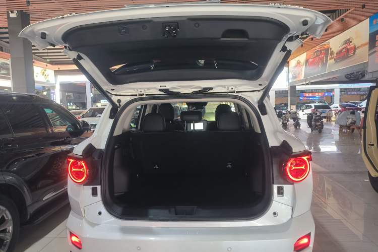 Used Haval H Dog 2023 2.0T Two-Wheel Drive Chaoye Version Plus