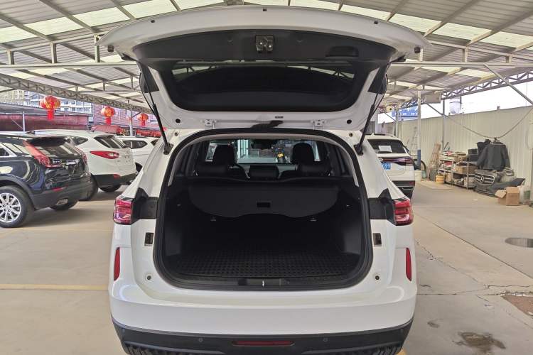 Used Haval H6 2024 1.5T Two-Wheel-Drive Classic Edition
