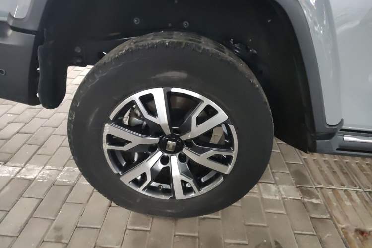 Used Tank 300 2024 2.0T Crosser