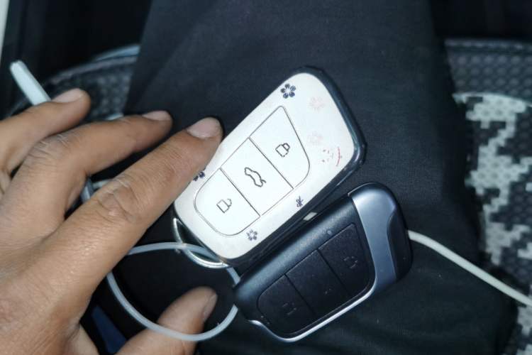 Used Chery New Energy Little Ant 2022 Restyled Version Sweet Pink Edition Half-Sugar Version 30.6 kWh 30 kW 301 km