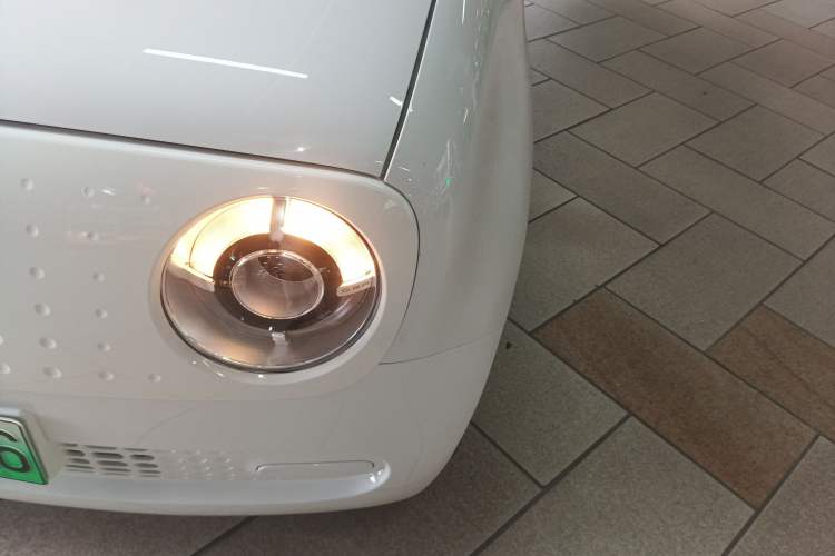 Used ORA Black Cat 2022 301km Base Version Ternary Lithium
