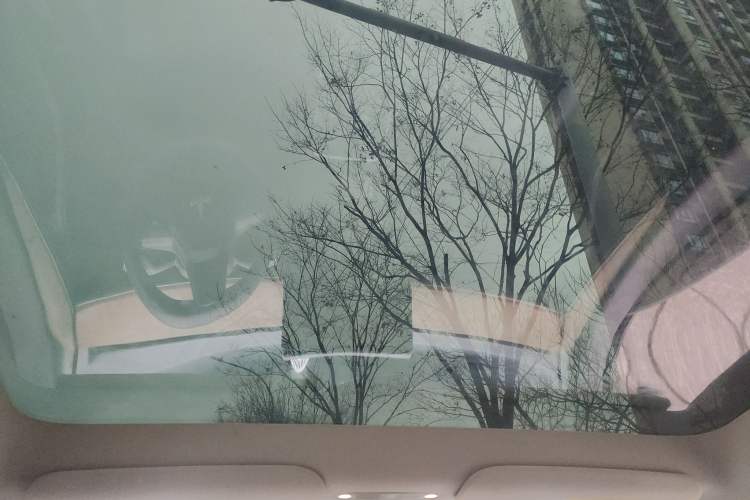 Used Tesla Model Y 2022 Rear-Wheel-Drive Version