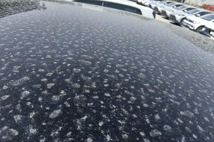 Used Volkswagen ID.UNYX 2024 Pro Long-Range Version Roof