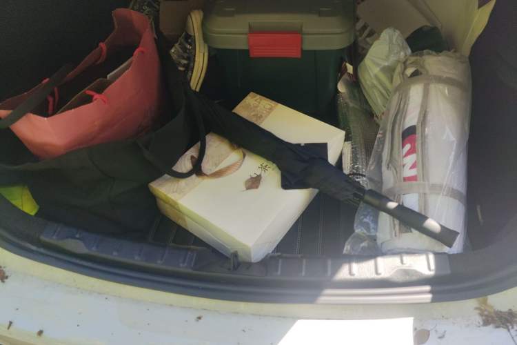 Used BMW 3 Series 2019 320i M Sport Night Edition