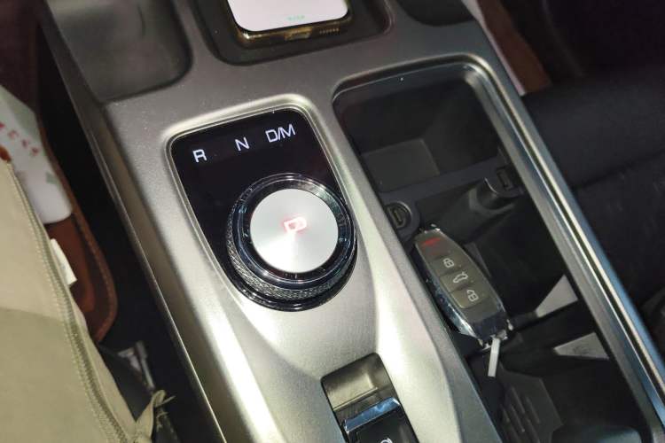 Used Haval DARGO 2024 2.0T DCT Chinese Rural Dog Edition
