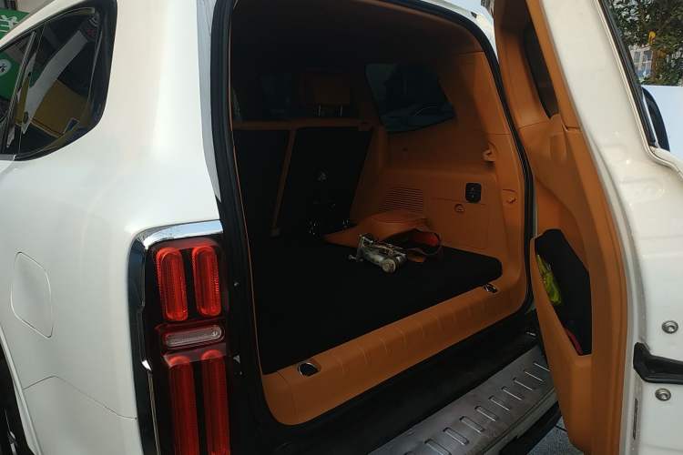 Used Tank 500 New Energy 2023 Hi4-T