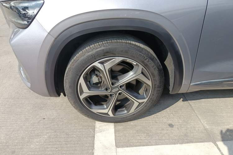 Used Geely Auto Monjaro L 2021 2.0TD DCT EVO Two-Wheel Drive Prestige Version
