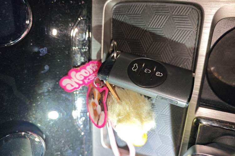 Used EXEED Lingyun 2021 400T Two-Wheel Drive Star Prestige Edition
