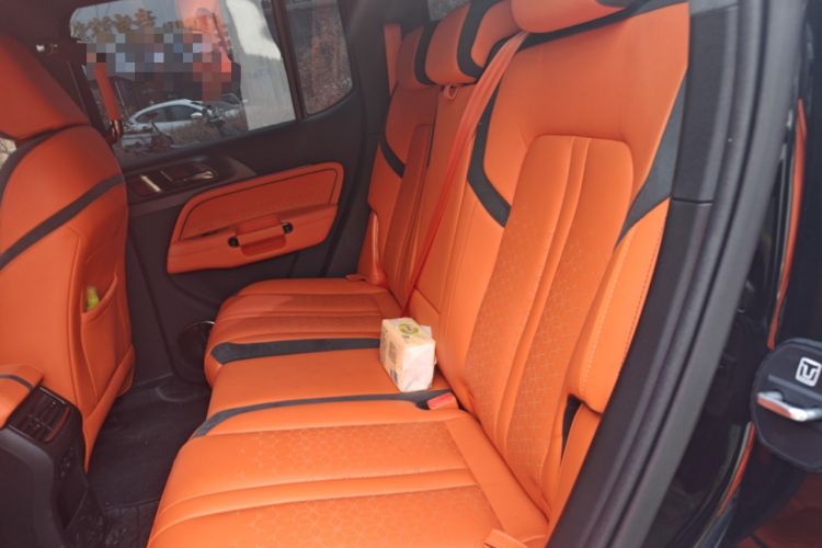 Used Cyberspace Tank 300 2023 2.0T Cyber Knight Left Rear Seat