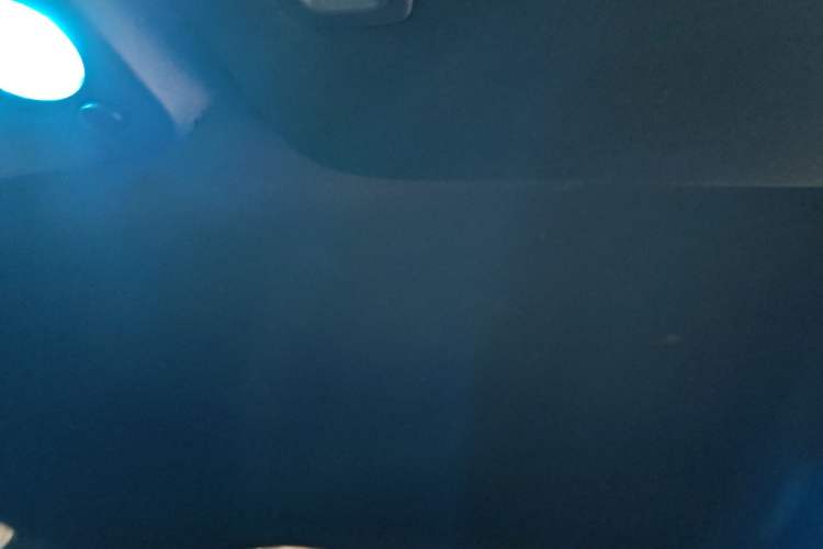 Used Ford Mustang 2017 5.0L GT Performance Edition Headliner