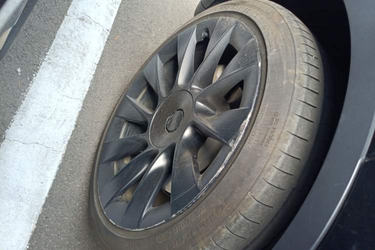 Used Tesla Model Y 2021 Standard Range Rear-Wheel Drive Version
