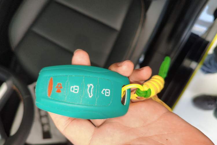 Used Haval LHERY 2022 Jingxiang Edition 1.5T Copper Rabbit
