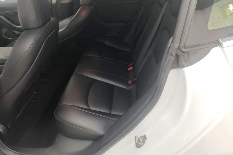 Used Tesla Model 3 2020 Standard Range Rear-Wheel Drive Upgraded Version